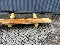 Kastanje - afbeelding 2 van  5