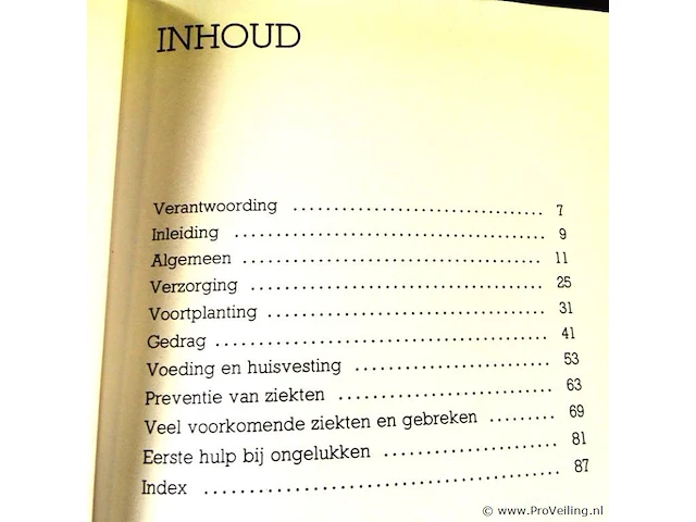 Katten - afbeelding 4 van  5