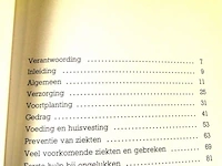 Katten - afbeelding 4 van  5