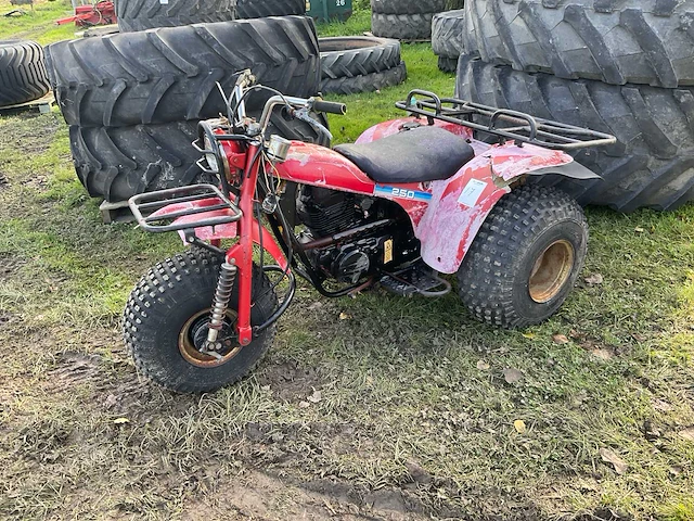 Kawasaki 250 trike - afbeelding 1 van  13