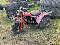 Kawasaki 250 trike - afbeelding 1 van  13