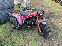 Kawasaki 250 trike - afbeelding 6 van  13