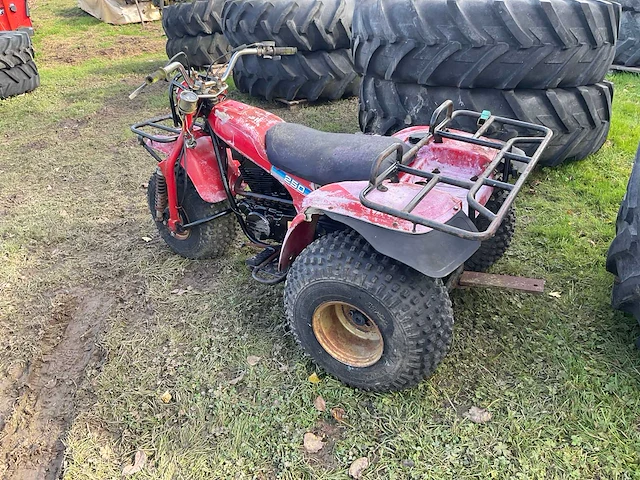 Kawasaki 250 trike - afbeelding 8 van  13