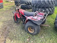 Kawasaki 250 trike - afbeelding 8 van  13