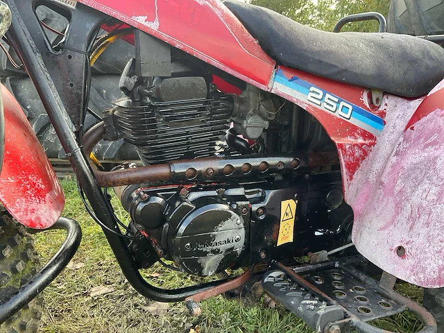 Kawasaki 250 trike - afbeelding 9 van  13