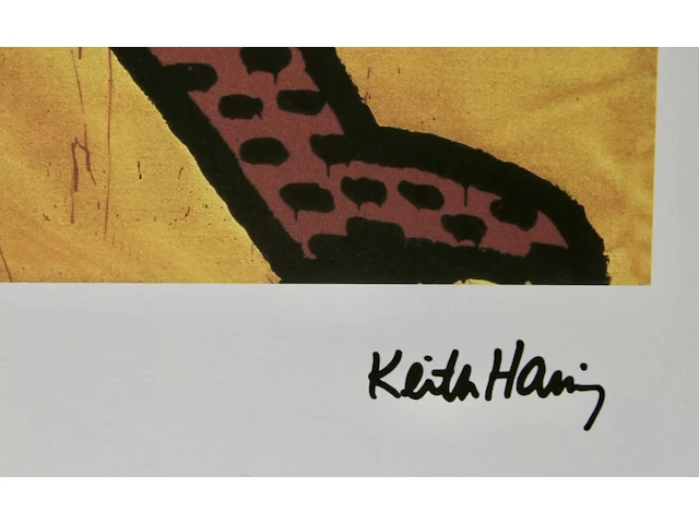 Keith haring - afbeelding 4 van  5