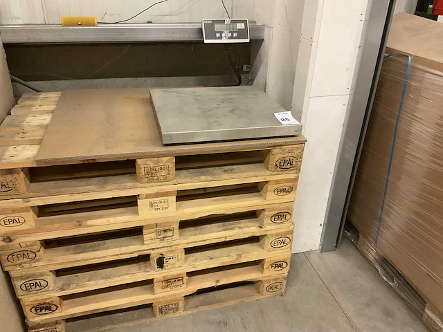 Kern weegschaal op pallets - afbeelding 1 van  5