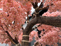 Kersen bloesem kunstboom - afbeelding 5 van  19