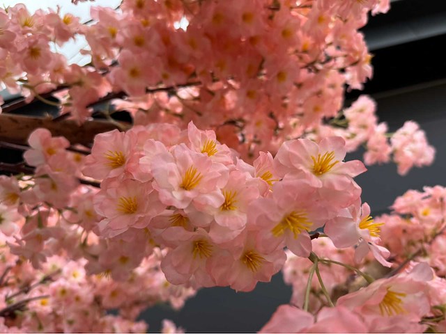 Kersen bloesem kunstboom - afbeelding 6 van  19