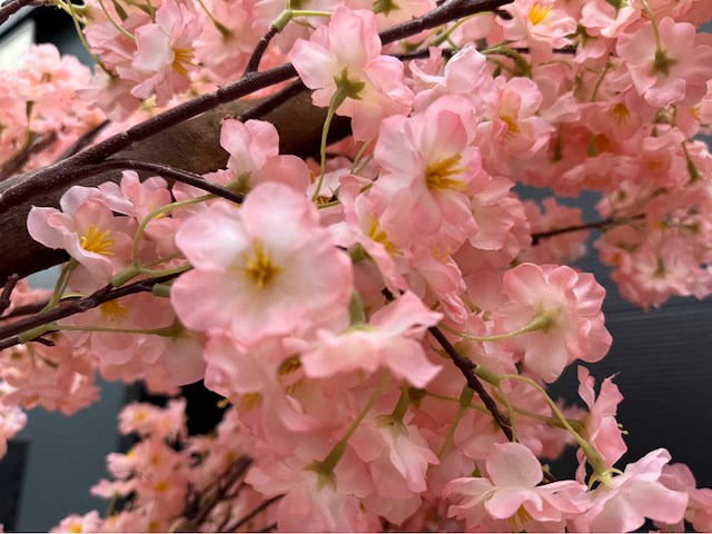 Kersen bloesem kunstboom - afbeelding 7 van  19