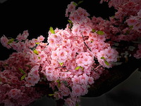 Kersen bloesem kunstboom - afbeelding 6 van  19