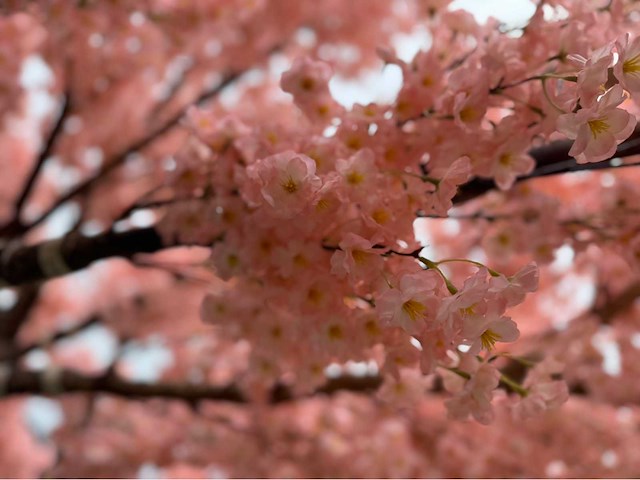 Kersen bloesem kunstboom - afbeelding 9 van  34