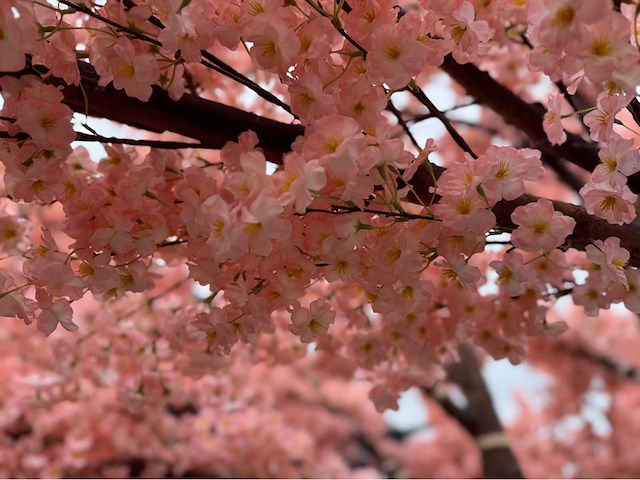 Kersen bloesem kunstboom - afbeelding 11 van  34