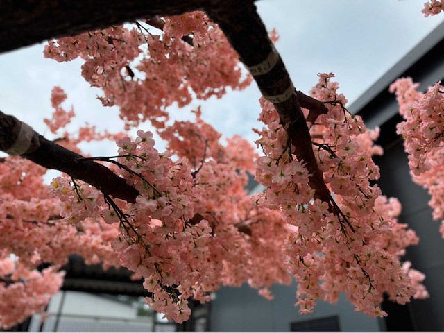 Kersen bloesem kunstboom - afbeelding 14 van  34