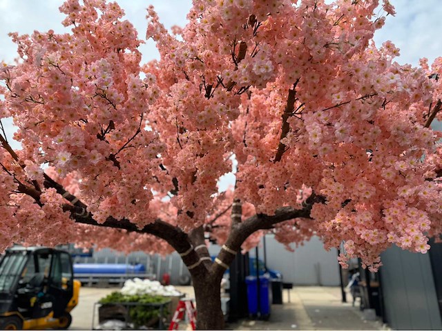 Kersen bloesem kunstboom - afbeelding 15 van  34