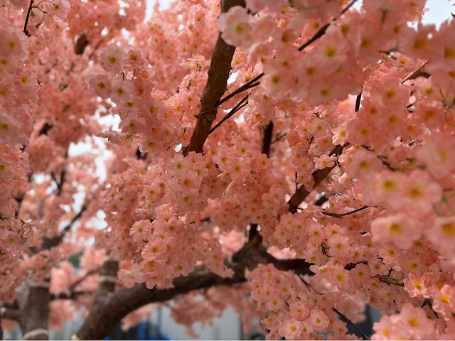 Kersen bloesem kunstboom - afbeelding 16 van  34