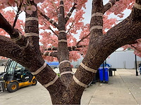 Kersen bloesem kunstboom - afbeelding 25 van  34