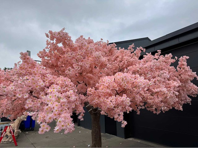 Kersen bloesem kunstboom - afbeelding 26 van  34