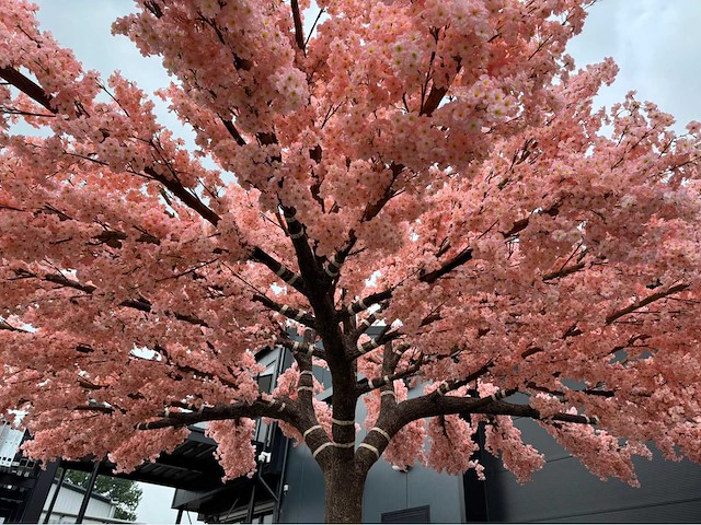 Kersen bloesem kunstboom - afbeelding 27 van  34