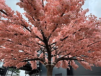 Kersen bloesem kunstboom - afbeelding 27 van  34