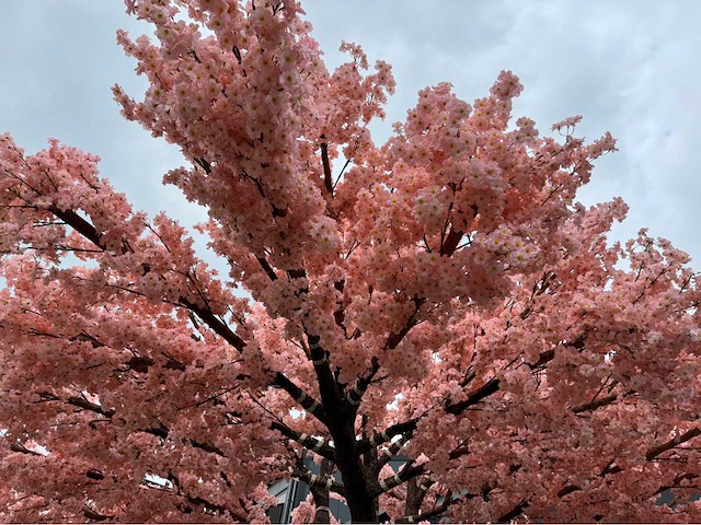 Kersen bloesem kunstboom - afbeelding 28 van  34