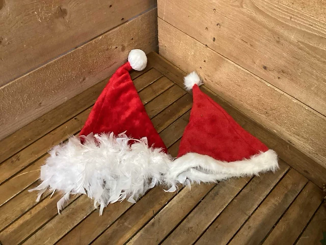 Kerst artikelen - afbeelding 11 van  11