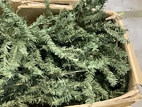 Kerstbomen (3x) - afbeelding 4 van  5