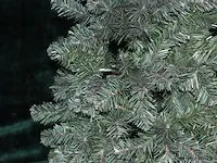 Kerstboom - 180 cm - afbeelding 3 van  4