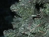 Kerstboom - 180 cm - afbeelding 4 van  4