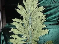 Kerstboom - 210 cm - afbeelding 1 van  5