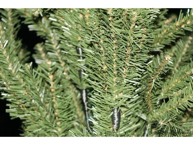 Kerstboom - 210 cm - afbeelding 2 van  5