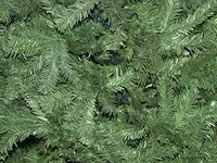 Kerstboom - 250 cm - afbeelding 3 van  3