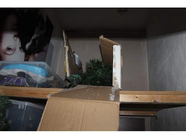 Kerstproducten op twee schappen. - afbeelding 2 van  2