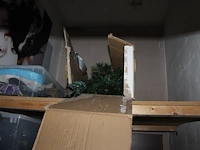 Kerstproducten op twee schappen. - afbeelding 2 van  2