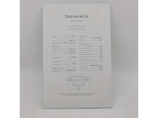 Ketting met .50 ct briljant geslepen diamant, tiffany&co - afbeelding 7 van  19