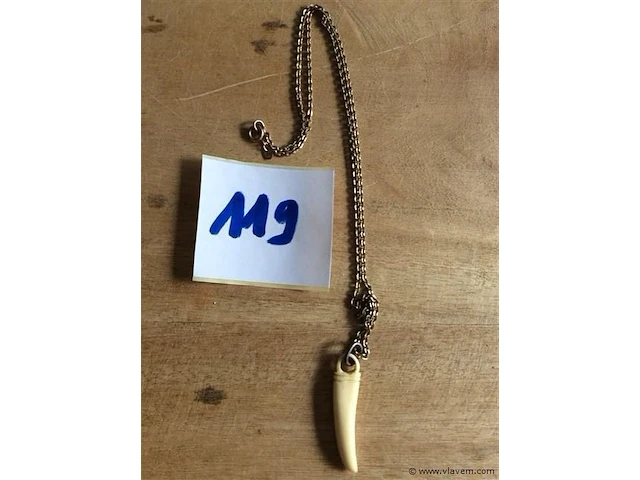 Ketting met hanger been - afbeelding 1 van  2