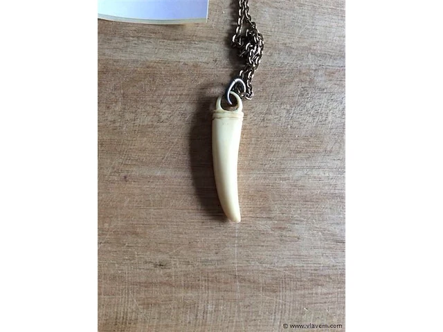 Ketting met hanger been - afbeelding 2 van  2