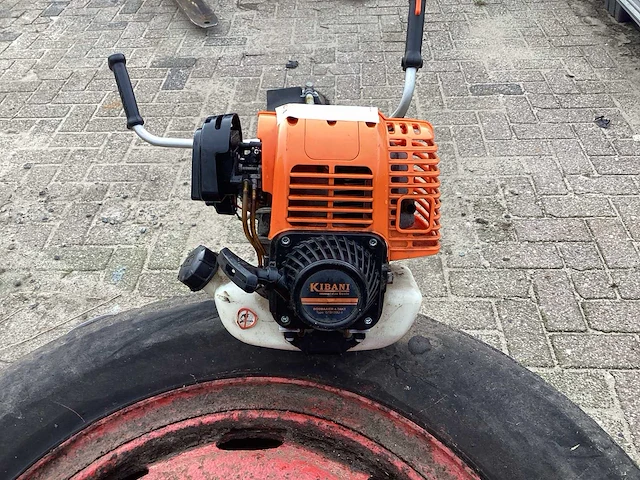 Kibani bosmaaier - afbeelding 4 van  6