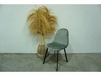 Kick collection - eetkamerstoel (6x) - afbeelding 1 van  4