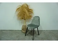 Kick collection - eetkamerstoel (6x) - afbeelding 1 van  4