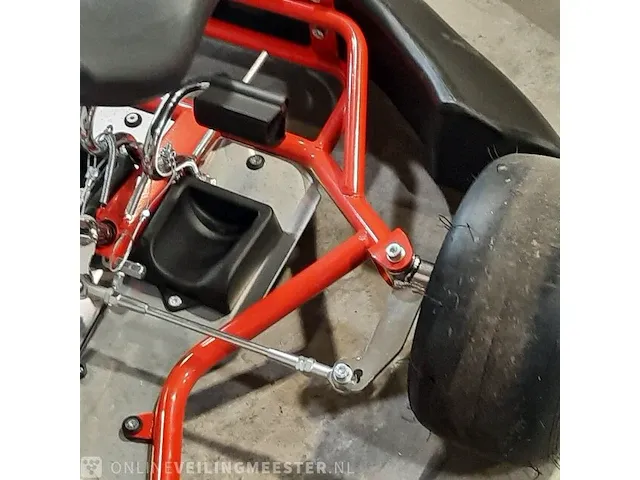 Kinder kart righetti ridolfi - afbeelding 14 van  23