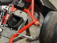 Kinder kart righetti ridolfi - afbeelding 14 van  23