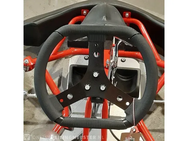 Kinder kart righetti ridolfi - afbeelding 16 van  23