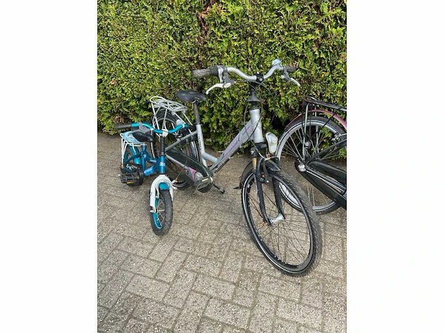 Kinderfiets (7x) - afbeelding 7 van  10