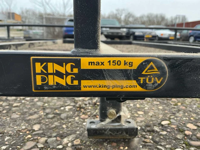 King ping volkswagen t4 imperial - afbeelding 8 van  8