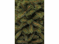 Kingston kerstboom groene tips 767-h215xd117cm, 215 - afbeelding 4 van  4