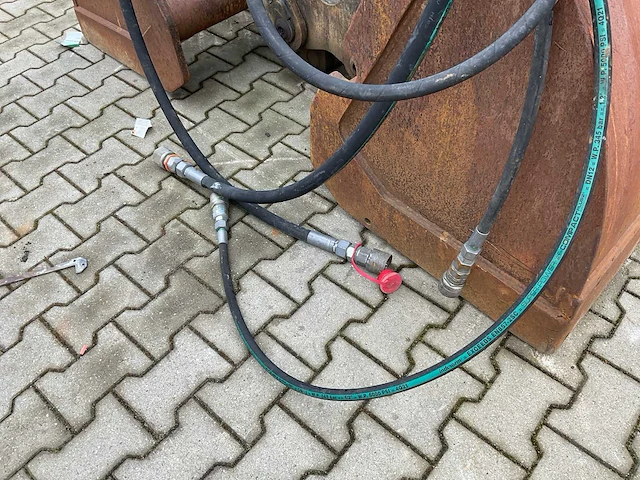 Kinshofer schalengrijper - afbeelding 3 van  15