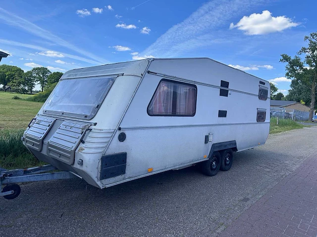 Kip - grey-line - kg 650 tlb - 35-wv-07 - afbeelding 1 van  19