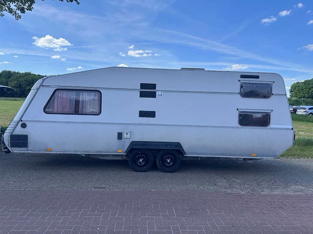 Kip - grey-line - kg 650 tlb - 35-wv-07 - afbeelding 12 van  19