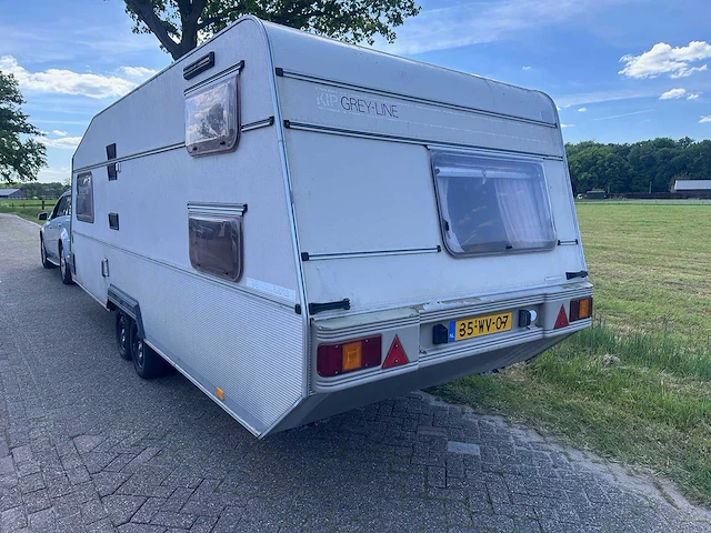 Kip - grey-line - kg 650 tlb - 35-wv-07 - afbeelding 13 van  19